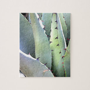 Agave Plante Succulent Cactus Green Jigsaw Puzzle 