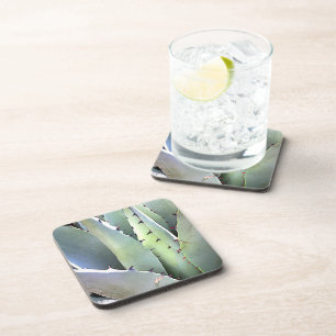 Agave Succulent Plant Cactus Green Coaster