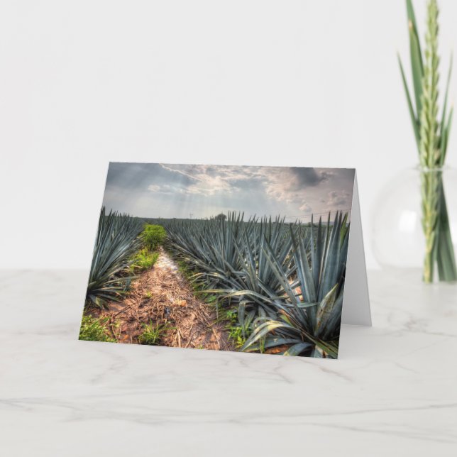Agave Tequilana Card (Front)