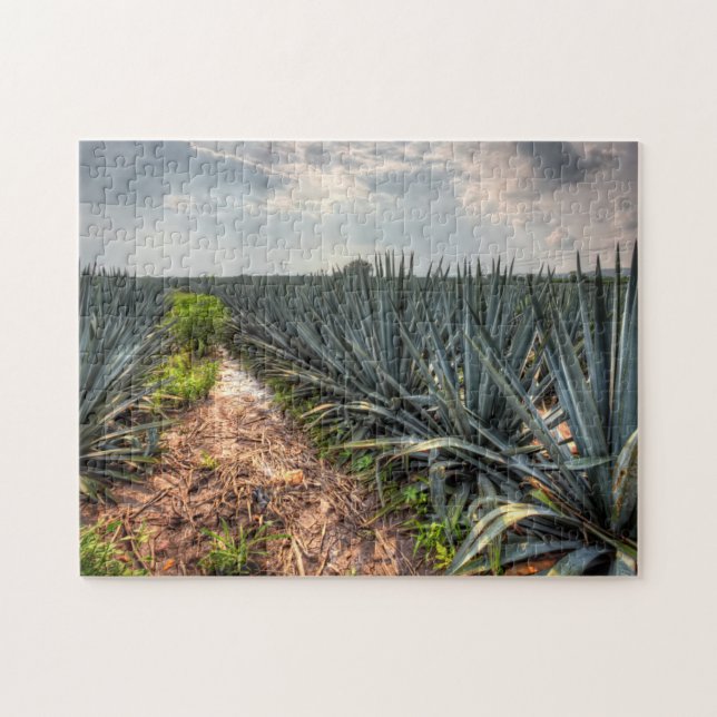 Agave Tequilana Jigsaw Puzzle (Horizontal)