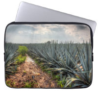 Agave Tequilana