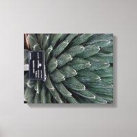 Agave Victoria Plant Photo Wrapped Canvas Print