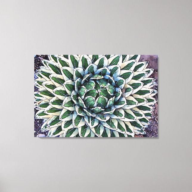 Agave victoriae-reginae Canvas Print (Front)