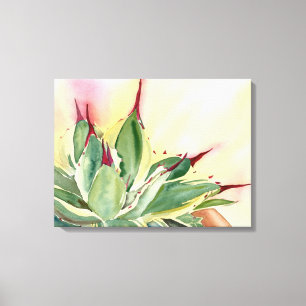Agave Watercolor by Debra Lee Baldwin Canvas Print