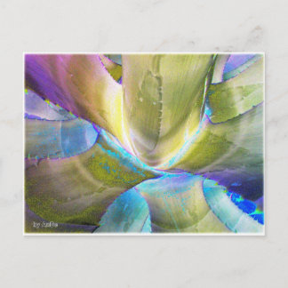 Agavemetall Postcard