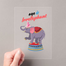 Age is Irrelephant