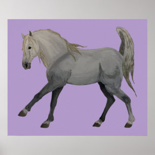 Age of Equestrian  Poster