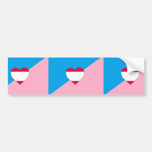 Age Play Pride Flag Bumper Sticker