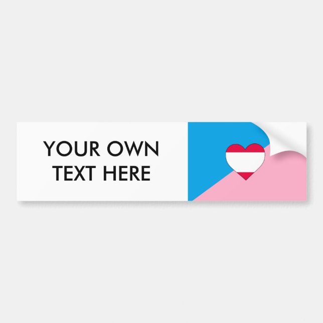 AGE PLAY PRIDE FLAG BUMPER STICKER (Front)