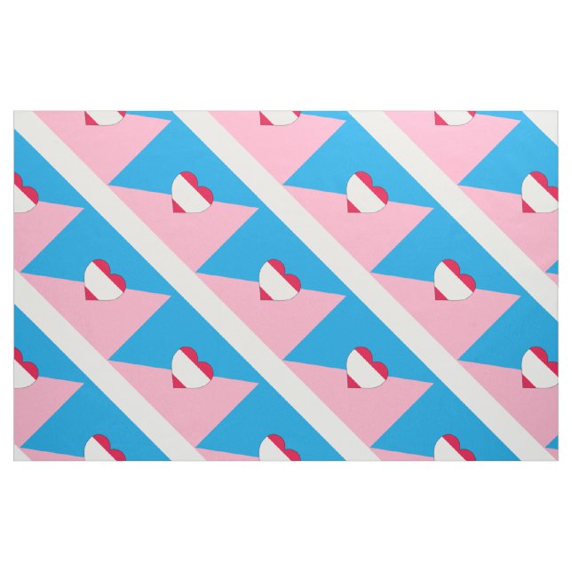 AGE PLAY PRIDE FLAG FABRIC (Yard)