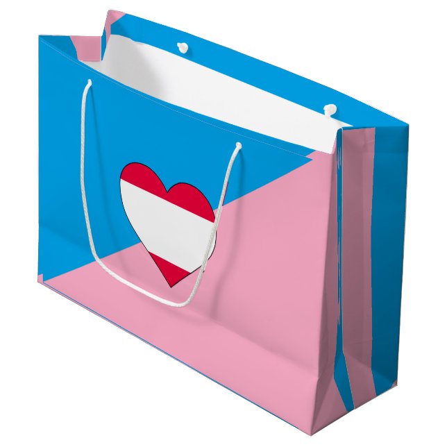 Age Play Pride Flag Large Gift Bag (Front Angled)