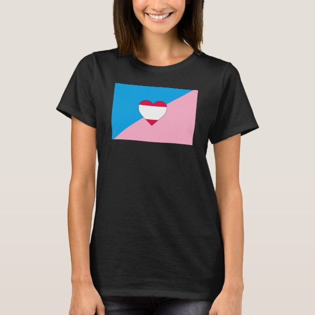 Age Play Pride Flag T-Shirt (Front)