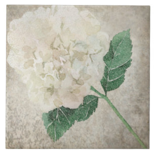 Aged Botanical Tile - Aqua and Bone V2