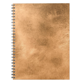 Aged old style vintage background. Old photo textu Notebook