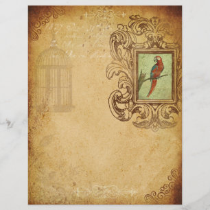 Aged Parchment Vintage Parrot Scrapbook Paper