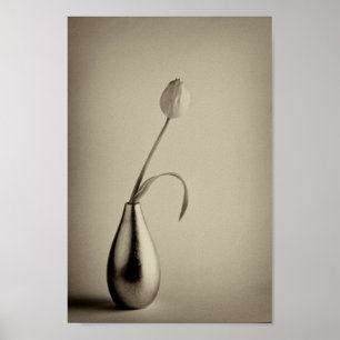 Aged sepia toned tulip in vase poster