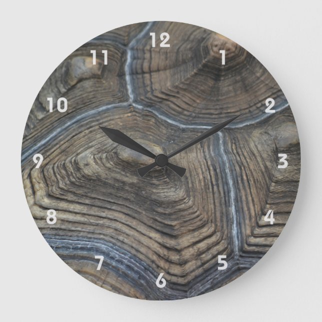 Aged Tortoiseshell Photographic  Large Clock (Front)