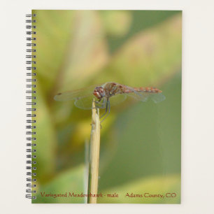 Agenda à reliure spirale avec photo de libellule