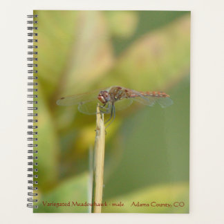 Agenda à reliure spirale avec photo de libellule