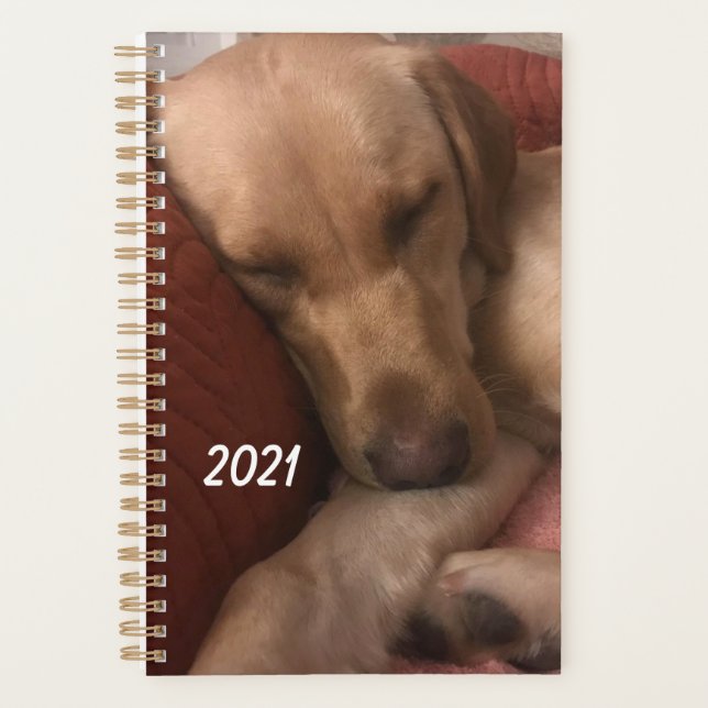 Agenda des chiots (Devant)