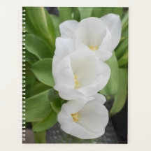Agenda quotidien/Organiseur de fleurs de tulipe bl