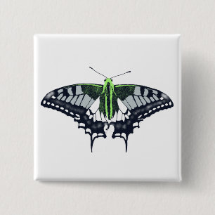 Agender Flag Swallowtail Butterfly 2 Inch Square Button