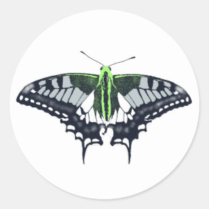 Agender Flag Swallowtail Butterfly Classic Round Sticker