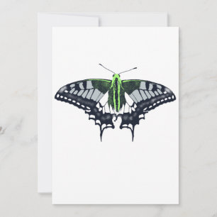 Agender Flag Swallowtail Butterfly Invitation