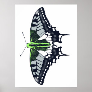 Agender Flag Swallowtail Butterfly Poster