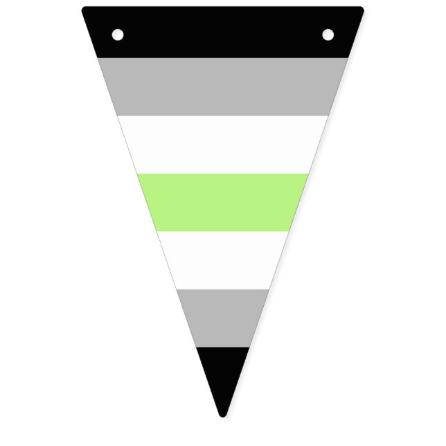Agender Pride Flag – Agender Identity LGBTQIA+  (First Flag)