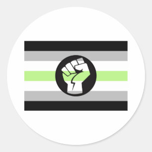 Agender Protest Flag Classic Round Sticker