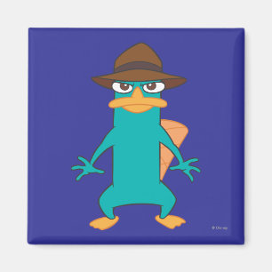 Agent P Pose Magnet