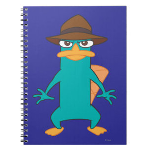 Agent P Pose Notebook
