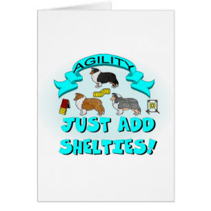 Agilité - ajoutez juste Shelties