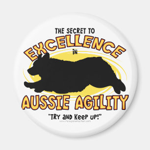 Agility Australian Shepherd Secret Magnet