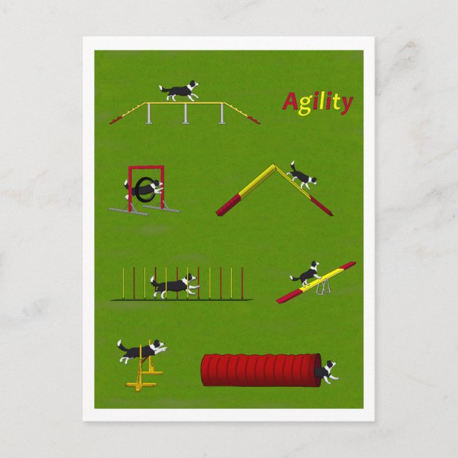Agility Border Collie Postcard (Front)