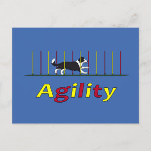 Agility dog postcard
