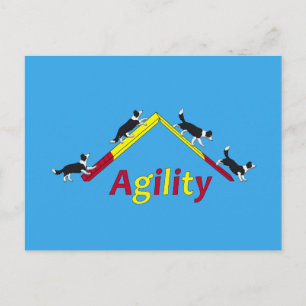 Agility dog postcard