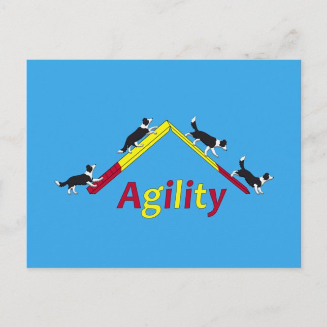 Agility dog postcard (Front)