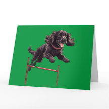 Agility Spaniel Folded Greeting Card