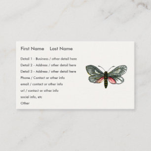 Aglaope infausta - Almond-Tree Leaf Skeletonizer B Business Card
