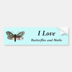 Aglaope infausta - Almond-Tree Leaf Skeletonizer Bumper Sticker
