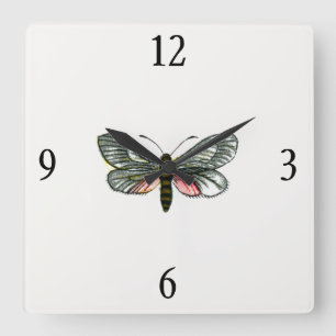 Aglaope infausta - Almond-Tree Leaf Skeletonizer Square Wall Clock