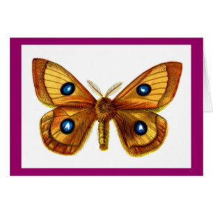 Aglia Tau Butterfly