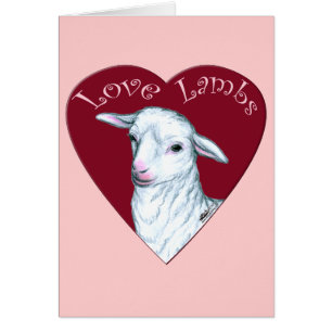 Agneaux d'amour