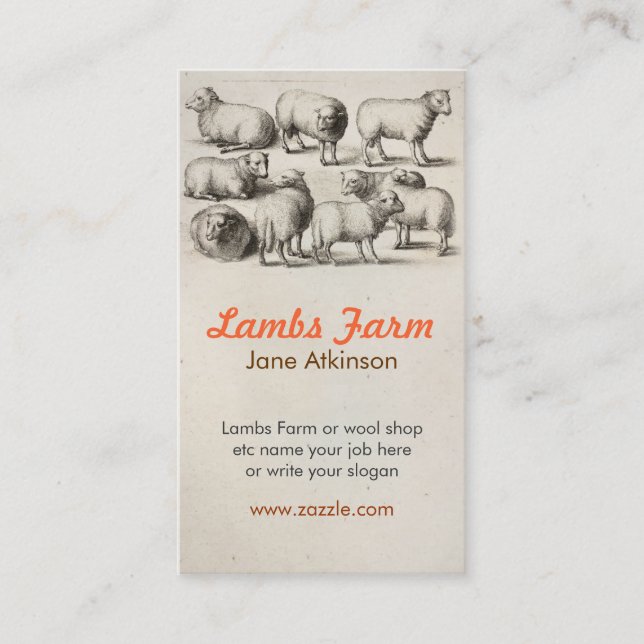 agnelle le carte de visite de laine (Devant)
