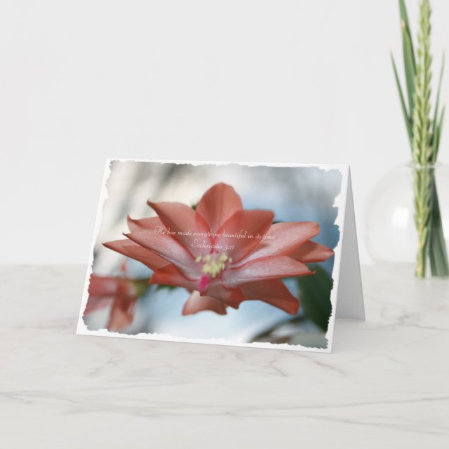 Agnes the Christmas Cactus Ecclesiastes 3:11 Holiday Card (Front)