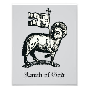 Agnus Dei The Paschal Lamb of God Fine Art  Photo Print