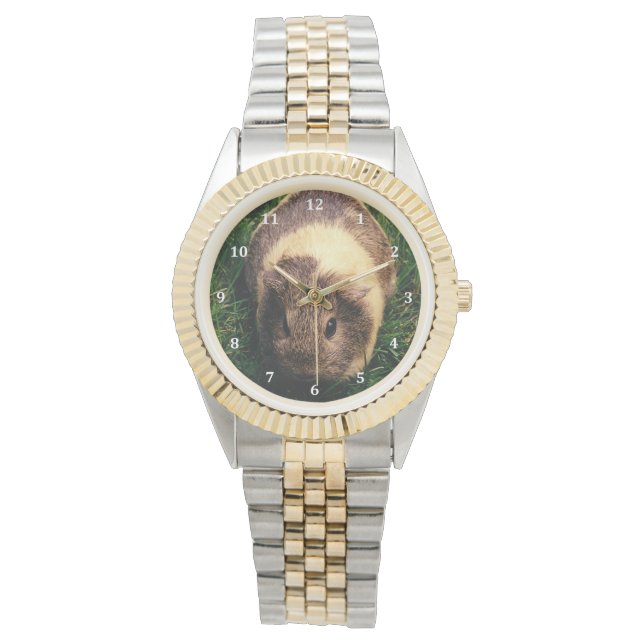 Agouti Guinea Pig in the Grass Watch (Front)