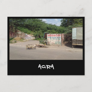 Agra, Uttar Pradesh (India) Postcard